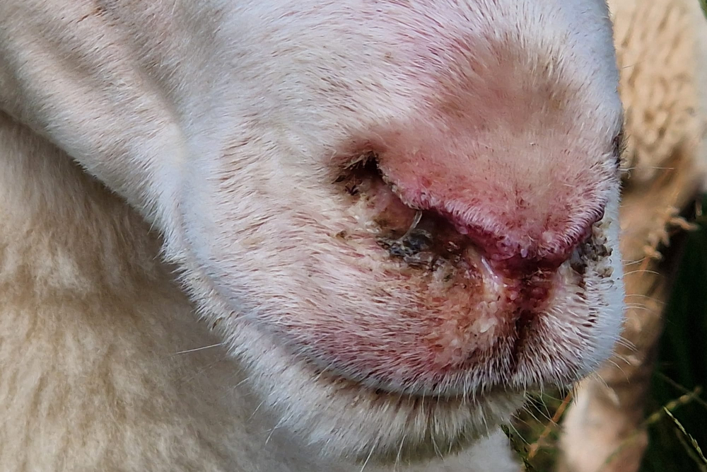 WhatsApp Image 2024-08-06 at 16.14.33 (2)