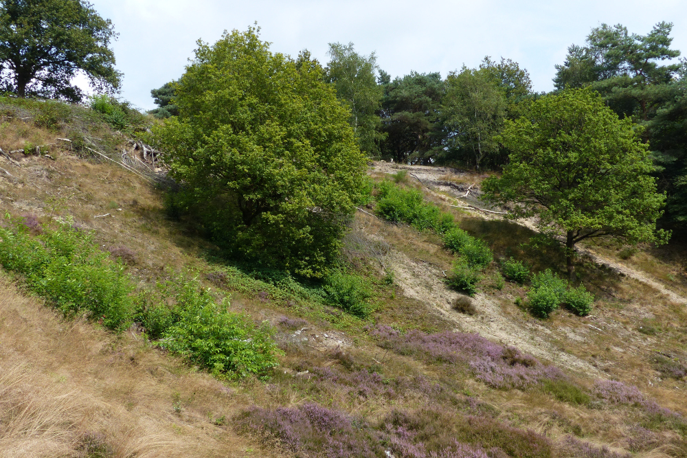 Lemelerberg 