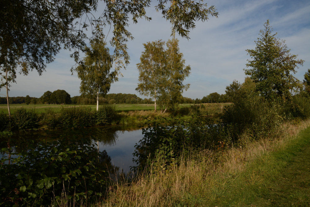 Beekdallandschap hooilanden langs de Regge Nico Kloek