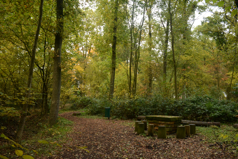 Kerkenbos De Lutte 