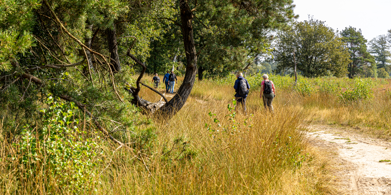 Boetelerveld