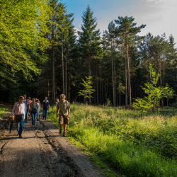 Lonnekerberg