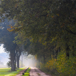 Kolkersveld