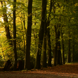 Landgoed Stroink