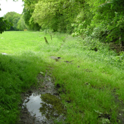Kuiperberg