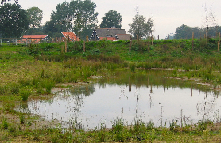Poel 