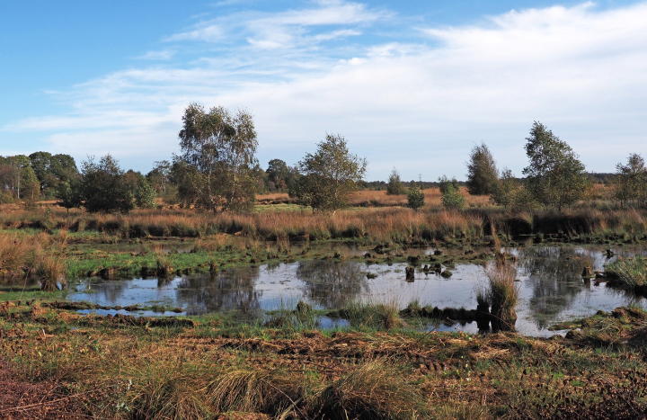 Wierdense Veld