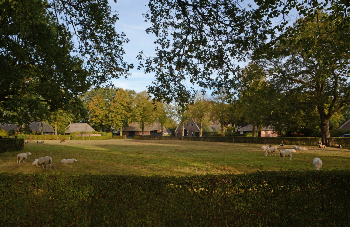 Het esdorp Rheeze