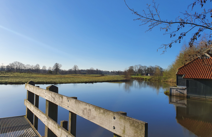 Regge Hellendoorn