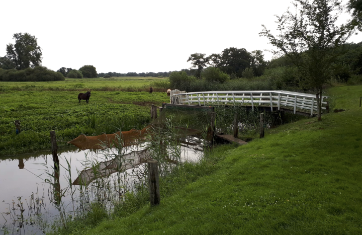 Aalstal Reest