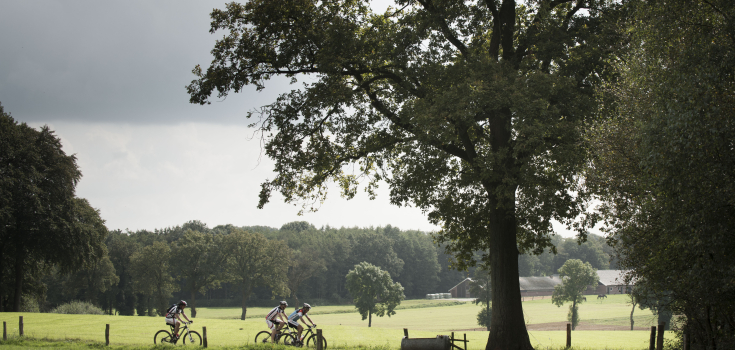 Vasse, fietsers