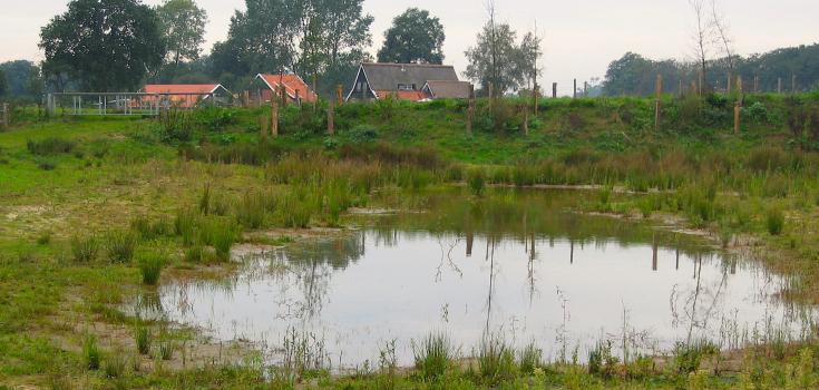 Poel 