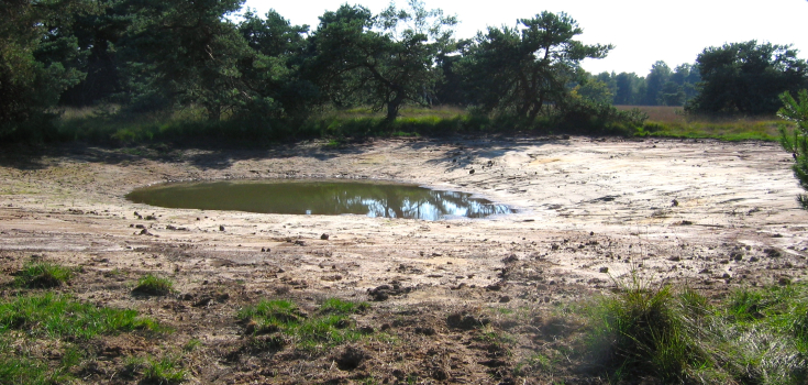 Boetelerveld