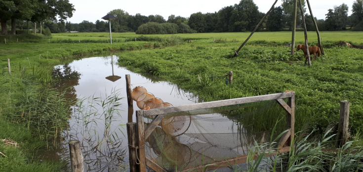 Aalstal, Reest