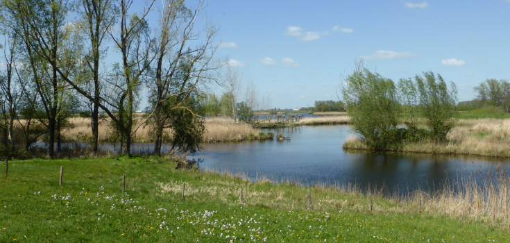 Zwarte water 