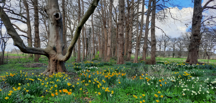 Lente in Soeslo