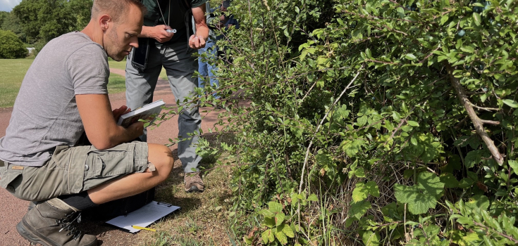 Vrijwilligers Wilde bomen & struiken, velddag Beerze