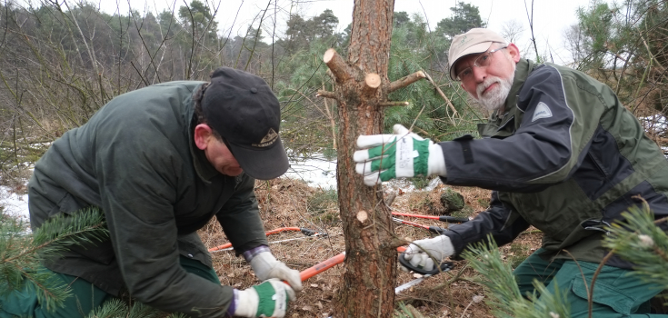 Mentor helpt bij zagen op de heide