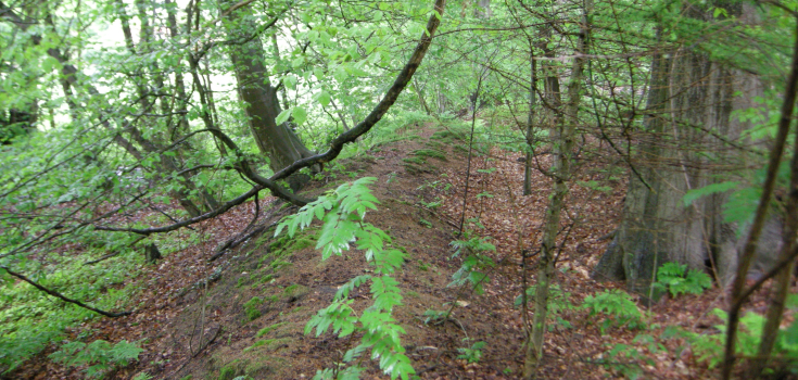 Kuiperberg