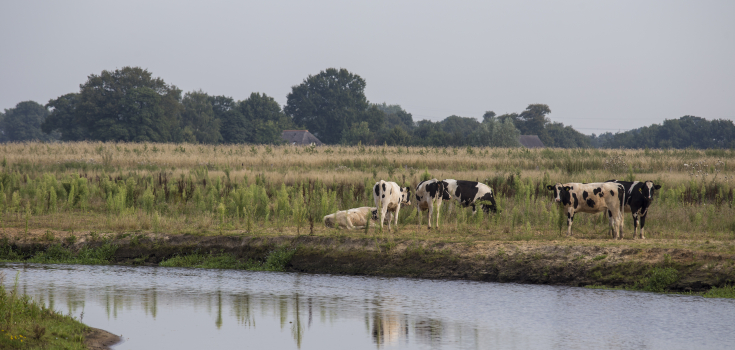 Regge Zuid Twente 