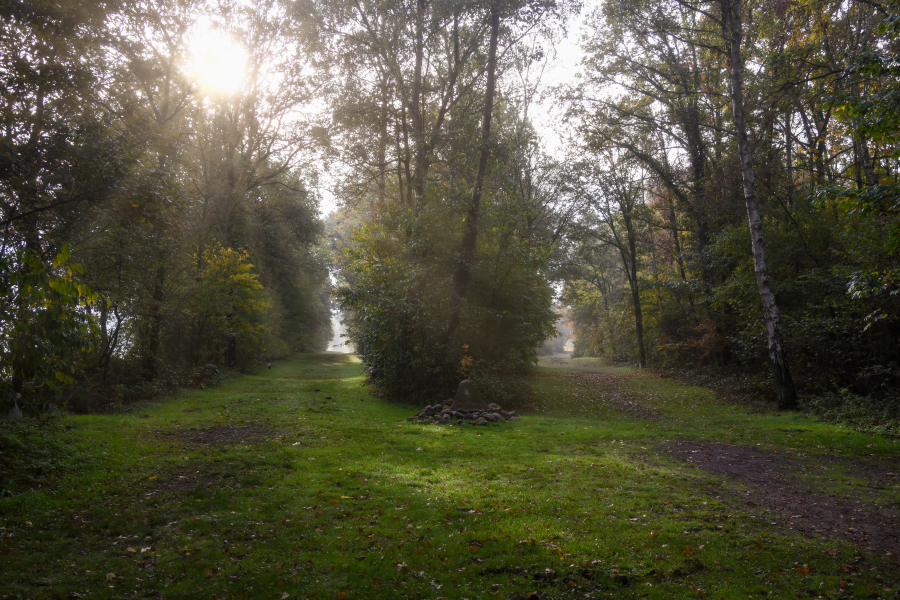 Kolkersveld
