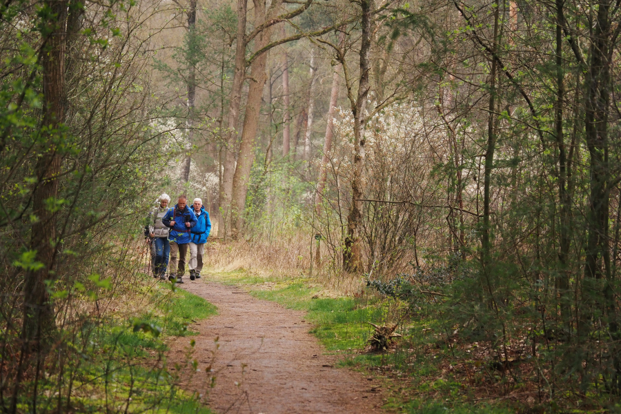 Wandelaars op De Zandstuve