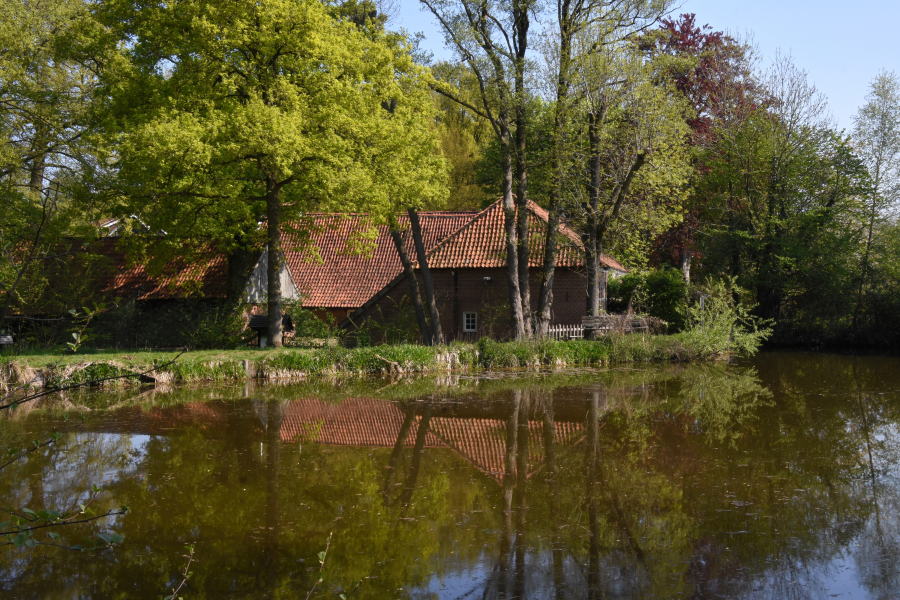 Molen van Frans