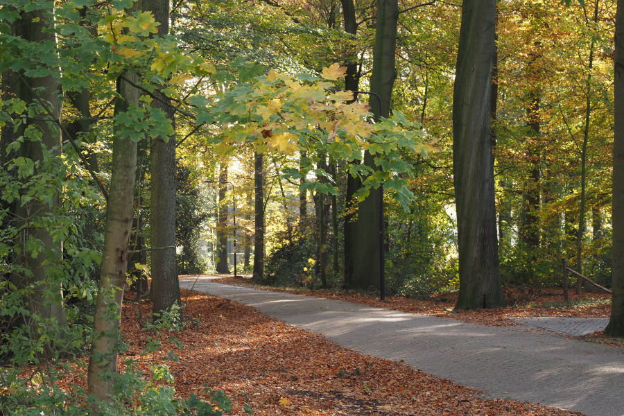't Vaneker Enschede