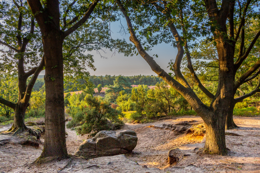 Lemelerberg avond