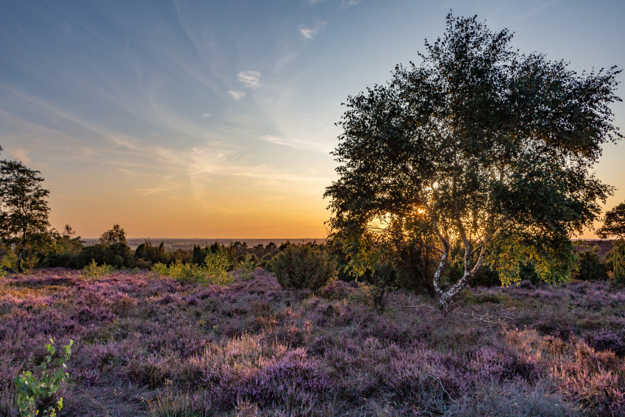 Zonsondergang Lemelerberg