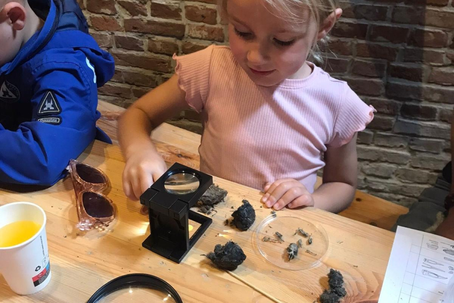 Uilenballen pluizen