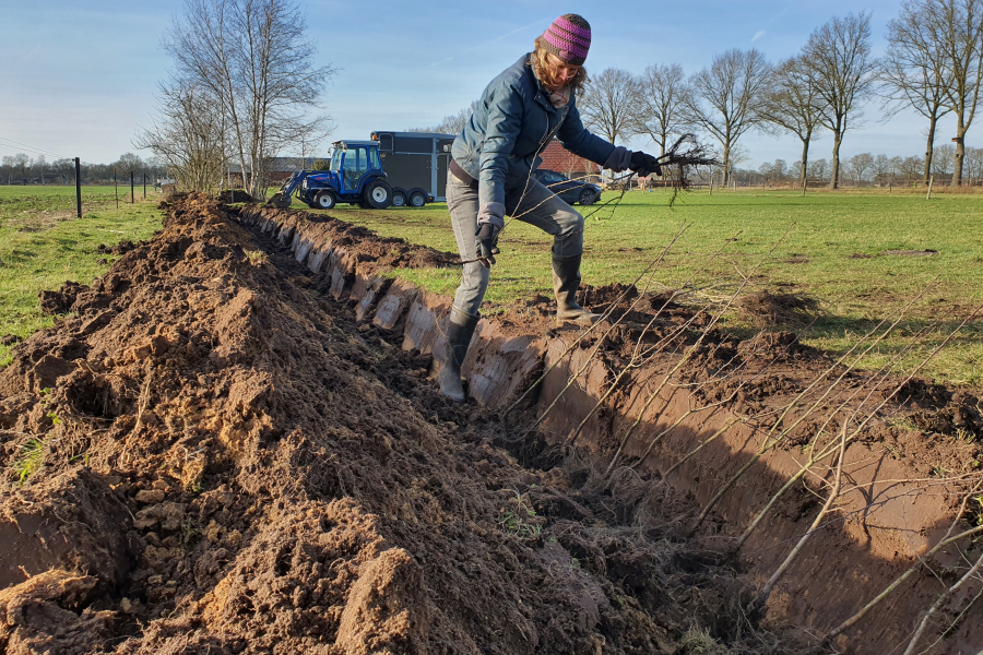 20220212_145652_Grobbe_eigenfoto