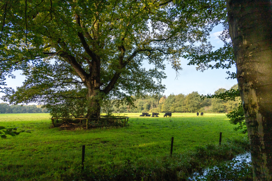 Landgoed De Horte