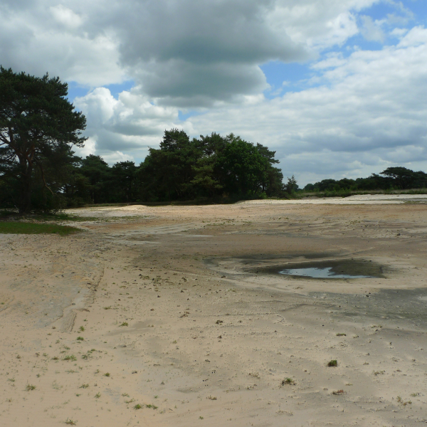 Beerze, plagplek