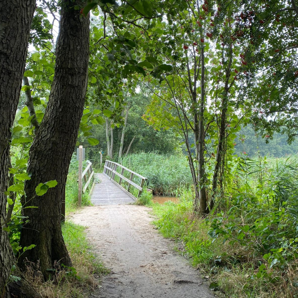 Bruggetje de Reest 